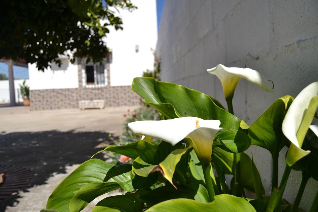 La Orquidea De Cordoba Villa Kültér fotó